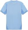 Puma teamFINAL Jersey - Team Light Blue