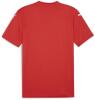 Puma teamGLORY 24 Jersey - PUMA Red