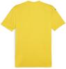 Puma teamGLORY 24 Jersey - Faster Yellow