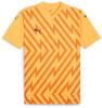 Puma teamGLORY 24 Jersey - Sun Stream