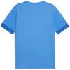 Puma teamGOAL Matchday Jersey - Electric Blue Lemonade