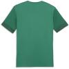 Puma teamGOAL Matchday Jersey - Sport Green