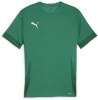 Puma teamGOAL Matchday Jersey - Sport Green