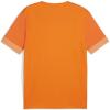 Puma teamGOAL Matchday Jersey - Rickie Orange