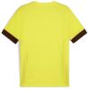 Puma teamGOAL Matchday Jersey - Fluro Yellow / Black