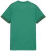 Puma teamGOAL Womens Matchday Jersey - Sport Green