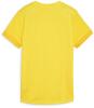 Puma teamGOAL Womens Matchday Jersey - Faster Yellow