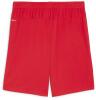 Puma teamGOAL Shorts - PUMA Red