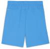 Puma teamGOAL Shorts - Electric Blue Lemonade