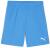 Puma teamGOAL Shorts - Electric Blue Lemonade