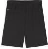 Puma teamGOAL Shorts - PUMA Black