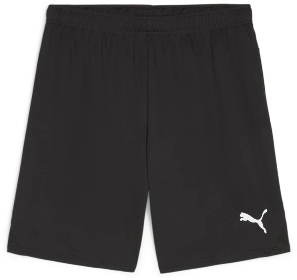 Puma teamGOAL Shorts - PUMA Black