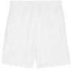 Puma teamGOAL Shorts - PUMA White