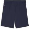 Puma teamGOAL Shorts - PUMA Navy