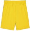 Puma teamGOAL Shorts - Faster Yellow