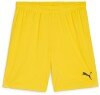 Puma teamGOAL Shorts - Faster Yellow