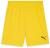 Puma teamGOAL Shorts - Faster Yellow