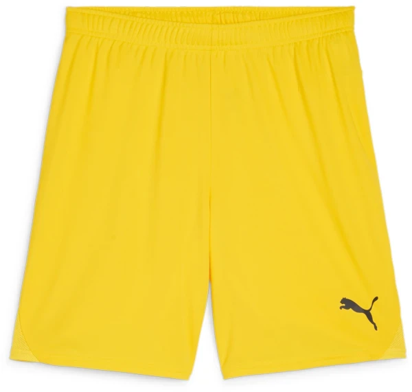 Puma teamGOAL Shorts - Faster Yellow