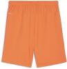 Puma teamGOAL Shorts - Rickie Orange