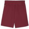 Puma teamGOAL Shorts - Team Regal Red