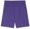 Puma teamGOAL Shorts - Team Violet