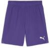 Puma teamGOAL Shorts - Team Violet