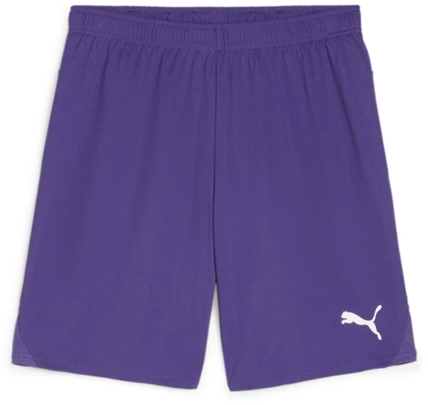 Puma teamGOAL Shorts - Team Violet