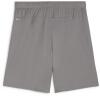 Puma teamGOAL Shorts - Cast Iron