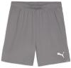 Puma teamGOAL Shorts - Cast Iron