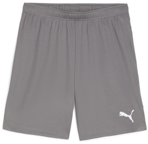 Puma teamGOAL Shorts - Cast Iron