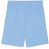 Puma teamGOAL Shorts - Team Light Blue