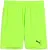 Puma teamGOAL Shorts - Green Glare / Black