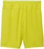 Puma teamGOAL Shorts - Fluro Yellow