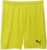 Puma teamGOAL Shorts - Fluro Yellow