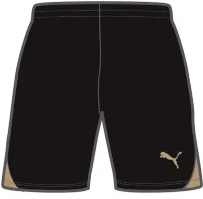 Puma teamGOAL Shorts - PUMA Black / PUMA Gold