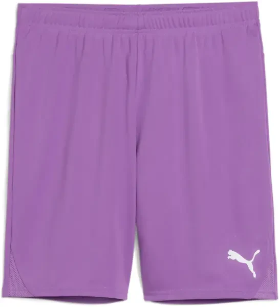 Puma teamGOAL Shorts - Ultra Violet / White