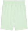 Puma teamGOAL Shorts - Fresh Mint