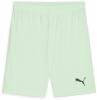 Puma teamGOAL Shorts - Fresh Mint