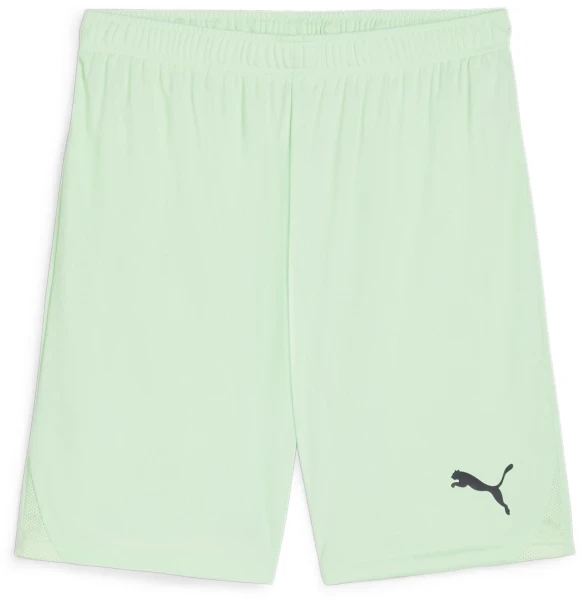 Puma teamGOAL Shorts - Fresh Mint