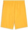 Puma teamGOAL Shorts - Sun Stream