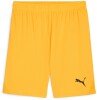 Puma teamGOAL Shorts - Sun Stream