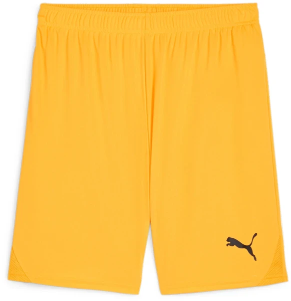 Puma teamGOAL Shorts - Sun Stream