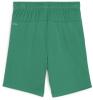 Puma teamGOAL Shorts - Sport Green