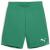 Puma teamGOAL Shorts - Sport Green