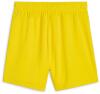 Puma teamGOAL Women's Shorts - Faster Yellow