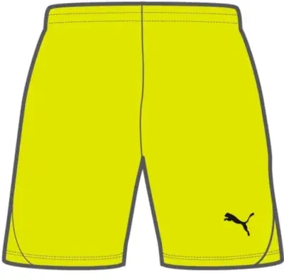 Puma teamGOAL Women's Shorts - Fluro Yellow