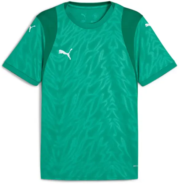 Puma teamCUP Jersey - Sport Green / White