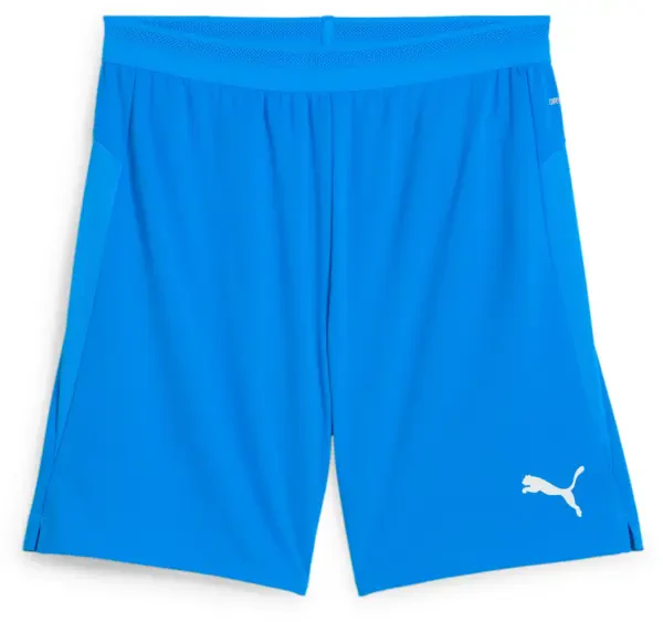 Puma teamCUP Shorts - Electro Royal / White