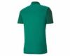 puma-teamgoal-23-sideline-polo-erkek-polo-tisort-65657705-yesil-kcm79152005-1-7ed48f652a5d44a1a68383636f9d10bb.jpg