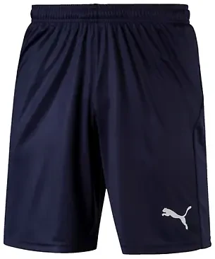 Puma LIGA core shorts - Navy/White - Medium (end of line)